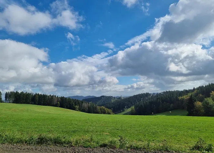 Appartement Rakke Kiefernweg Winterberg