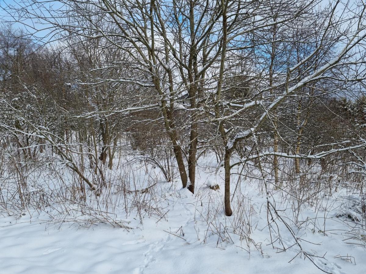 Rakké Kiefernweg * Winterberg