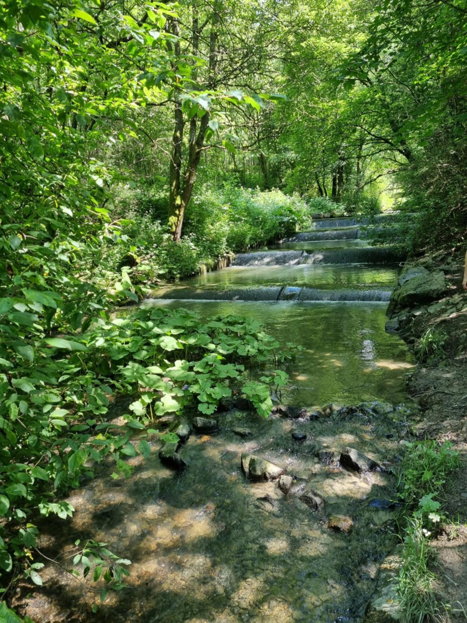 Rakké Kiefernweg *